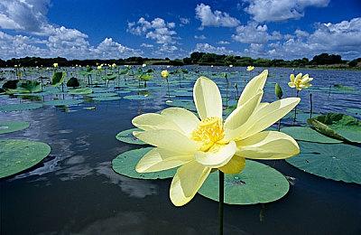 《任天堂Switch运动》新游戏截图 展示“SPOCCO广场”